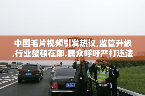 中国毛片视频引发热议,监管升级,行业整顿在即,民众呼吁严打违法