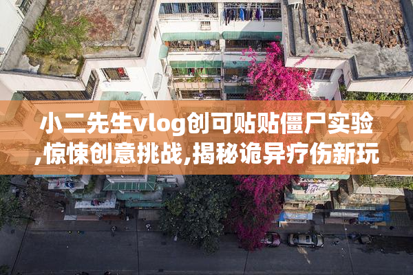 小二先生vlog创可贴贴僵尸实验,惊悚创意挑战,揭秘诡异疗伤新玩法