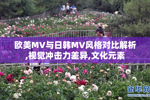 欧美MV与日韩MV风格对比解析,视觉冲击力差异,文化元素