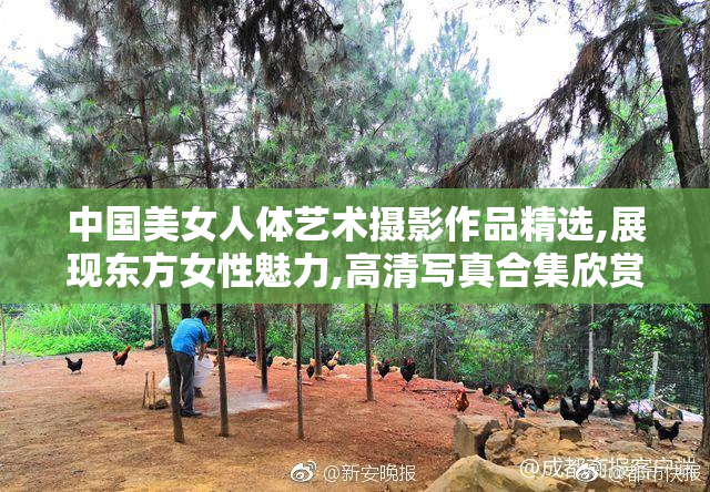 中国美女人体艺术摄影作品精选,展现东方女性魅力,高清写真合集欣赏