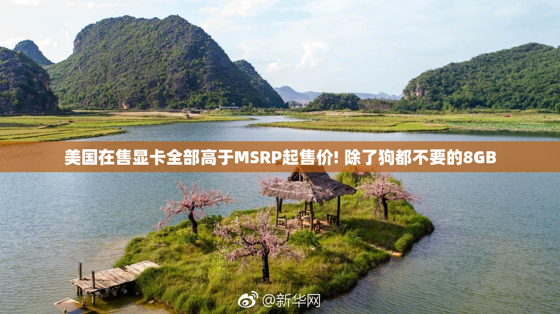 美国在售显卡全部高于MSRP起售价! 除了狗都不要的8GB