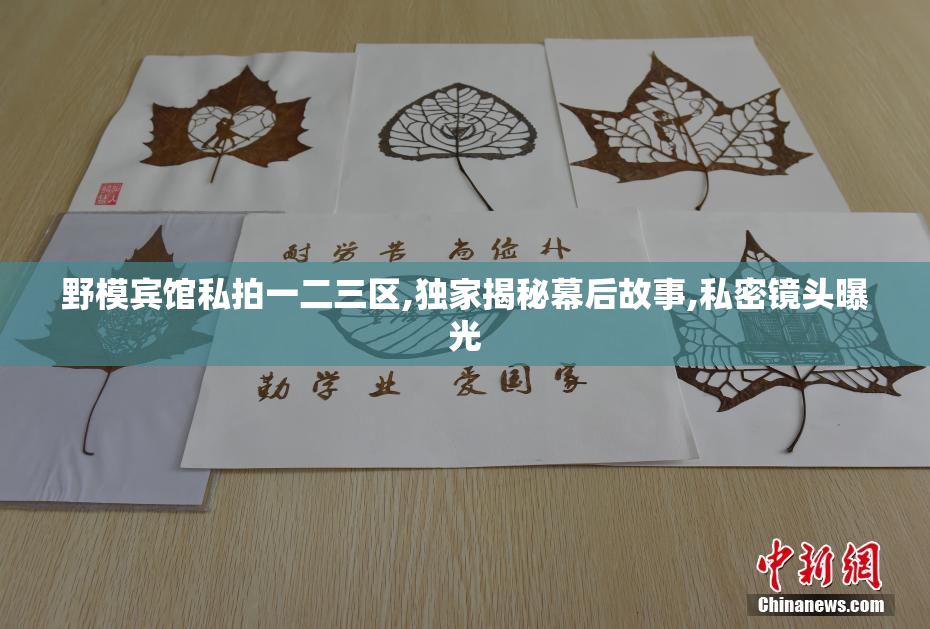 野模宾馆私拍一二三区,独家揭秘幕后故事,私密镜头曝光