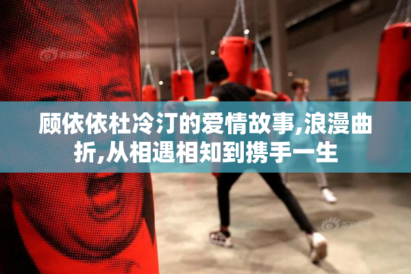 顾依依杜冷汀的爱情故事,浪漫曲折,从相遇相知到携手一生