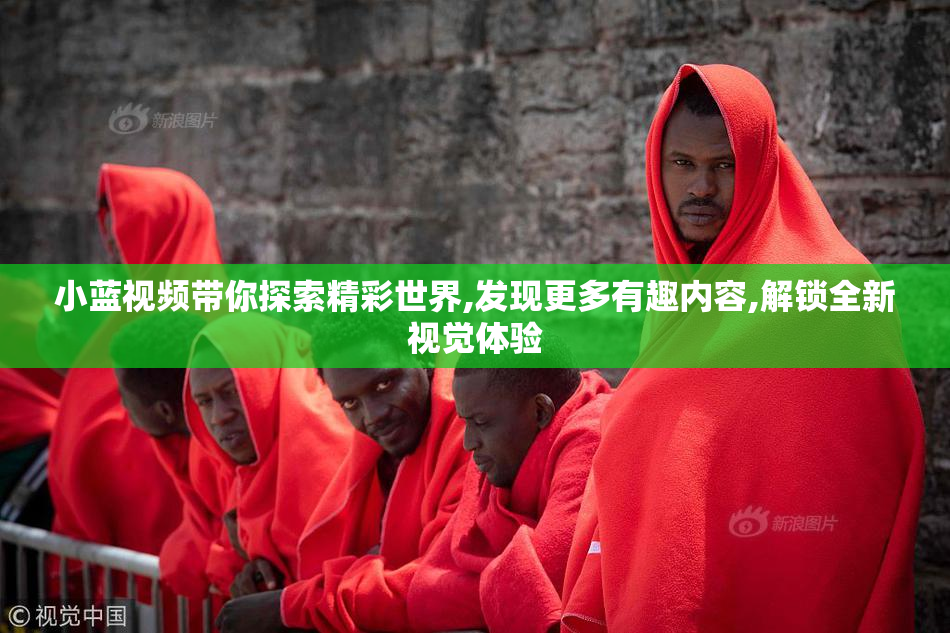 小蓝视频带你探索精彩世界,发现更多有趣内容,解锁全新视觉体验