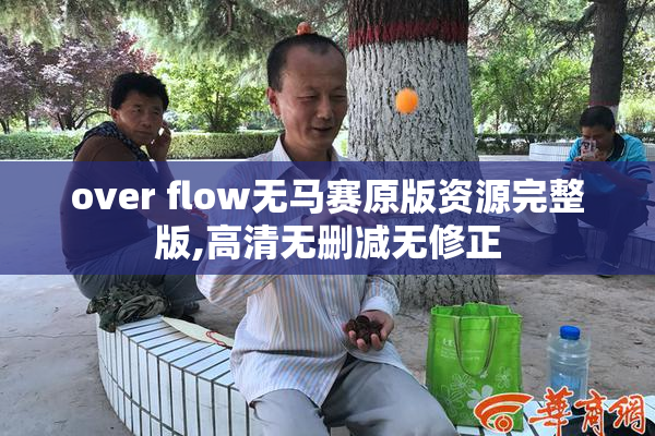 over flow无马赛原版资源完整版,高清无删减无修正