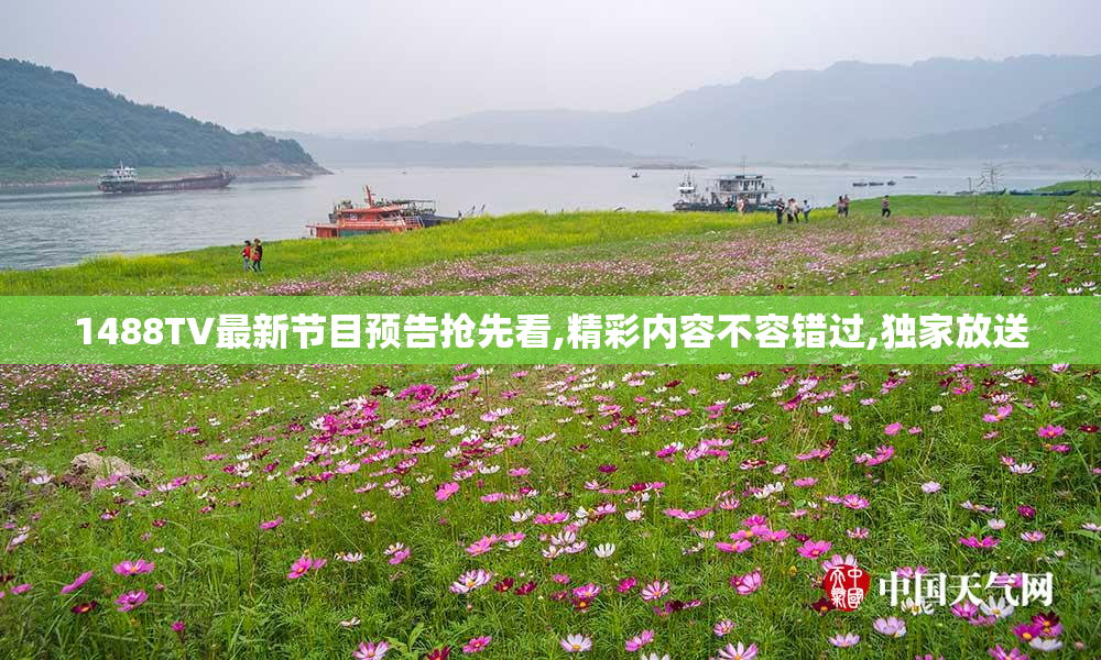 1488TV最新节目预告抢先看,精彩内容不容错过,独家放送