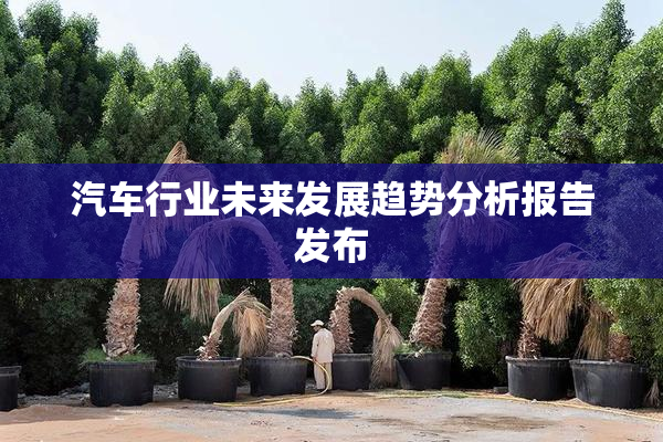 汽车行业未来发展趋势分析报告发布