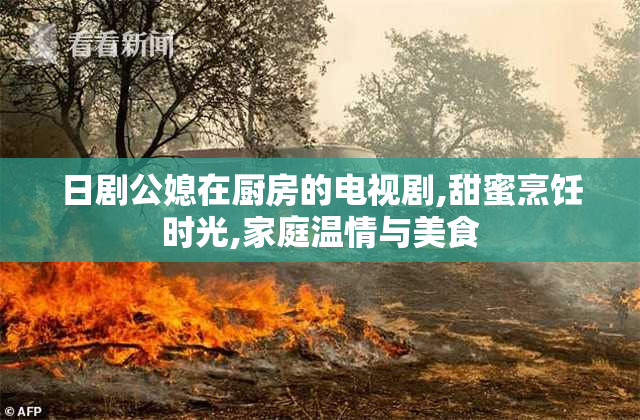 日剧公媳在厨房的电视剧,甜蜜烹饪时光,家庭温情与美食