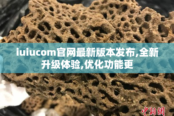 iuiucom官网最新版本发布,全新升级体验,优化功能更