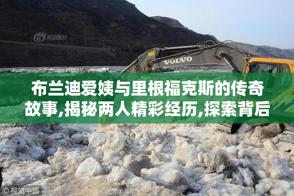 布兰迪爱姨与里根福克斯的传奇故事,揭秘两人精彩经历,探索背后的