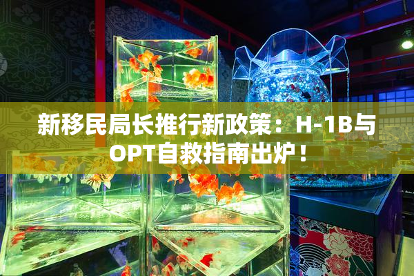 新移民局长推行新政策：H-1B与OPT自救指南出炉！