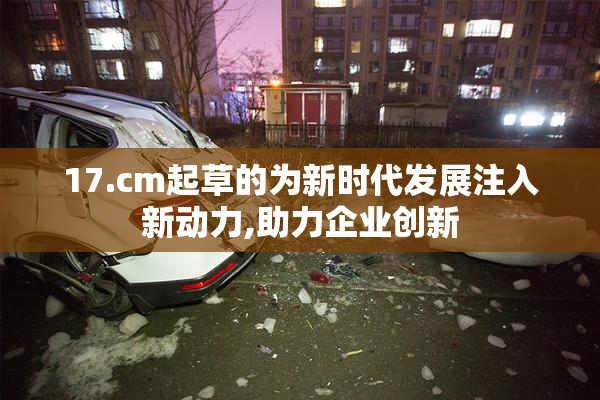 17.cm起草的为新时代发展注入新动力,助力企业创新