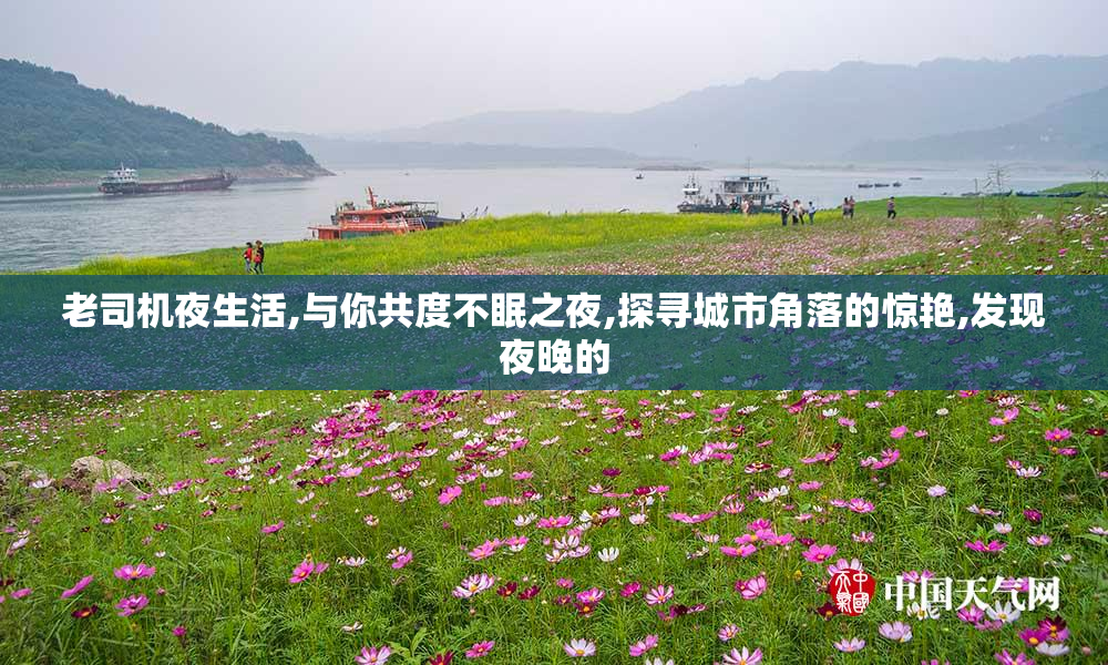 老司机夜生活,与你共度不眠之夜,探寻城市角落的惊艳,发现夜晚的