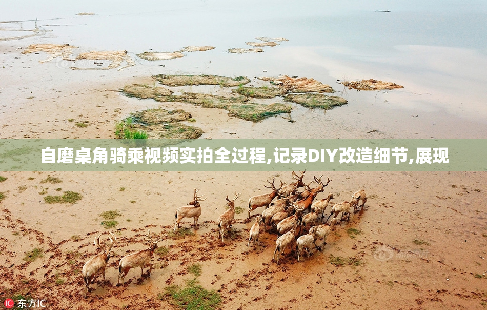自磨桌角骑乘视频实拍全过程,记录DIY改造细节,展现