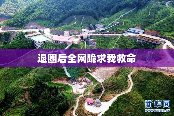退圈后全网跪求我救命
