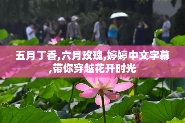 五月丁香,六月玫瑰,婷婷中文字幕,带你穿越花开时光