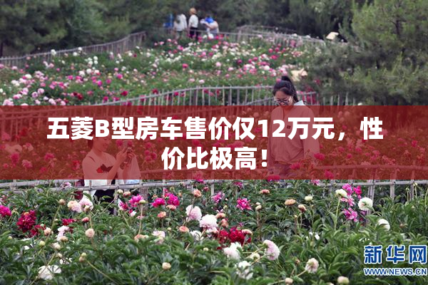 五菱B型房车售价仅12万元，性价比极高！