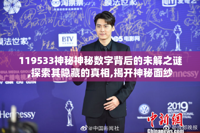 119533神秘神秘数字背后的未解之谜,探索其隐藏的真相,揭开神秘面纱