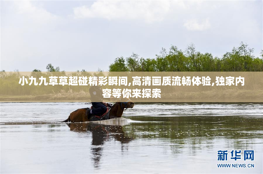 小九九草草超碰精彩瞬间,高清画质流畅体验,独家内容等你来探索