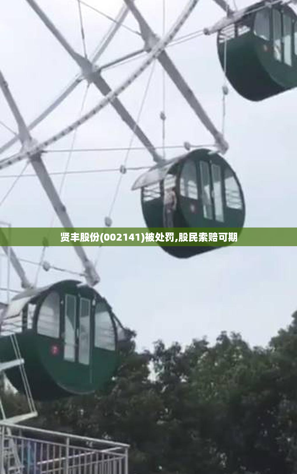 贤丰股份(002141)被处罚,股民索赔可期
