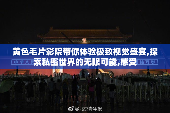 黄色毛片影院带你体验极致视觉盛宴,探索私密世界的无限可能,感受