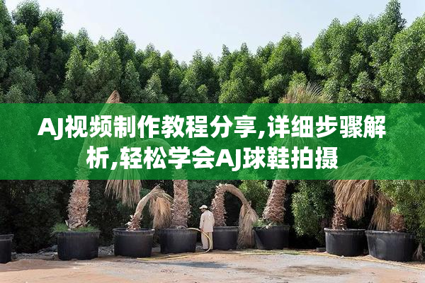 AJ视频制作教程分享,详细步骤解析,轻松学会AJ球鞋拍摄