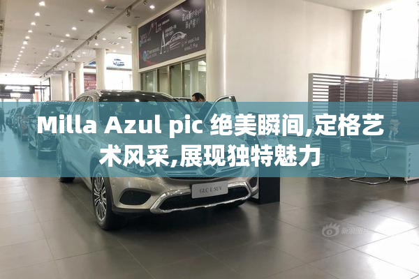 Milla Azul pic 绝美瞬间,定格艺术风采,展现独特魅力