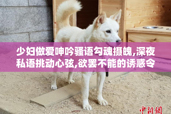 少妇做爱呻吟骚语勾魂摄魄,深夜私语挑动心弦,欲罢不能的诱惑令人
