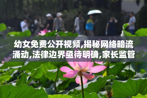 幼女免费公开视频,揭秘网络暗流涌动,法律边界亟待明确,家长监管刻