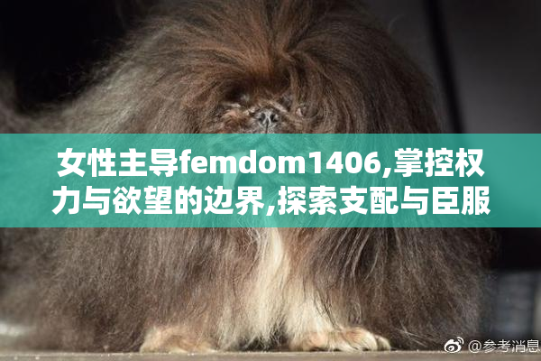 女性主导femdom1406,掌控权力与欲望的边界,探索支配与臣服的深层