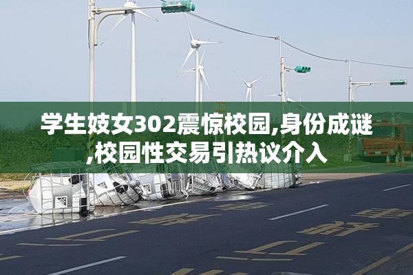 学生妓女302震惊校园,身份成谜,校园性交易引热议介入