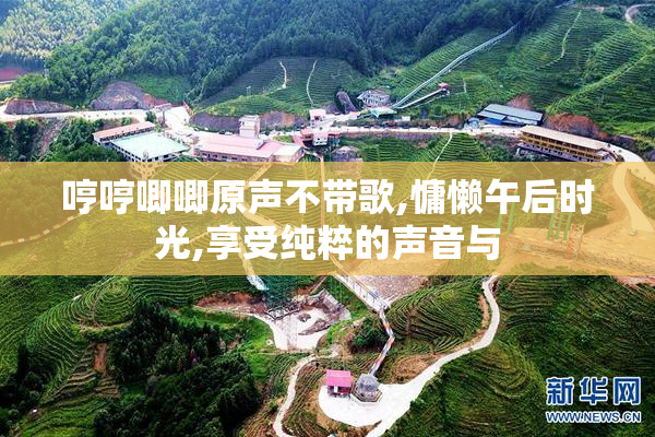 哼哼唧唧原声不带歌,慵懒午后时光,享受纯粹的声音与