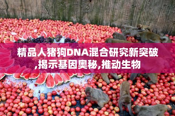 精品人猪狗DNA混合研究新突破,揭示基因奥秘,推动生物