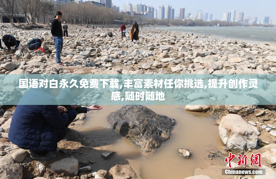 国语对白永久免费下载,丰富素材任你挑选,提升创作灵感,随时随地