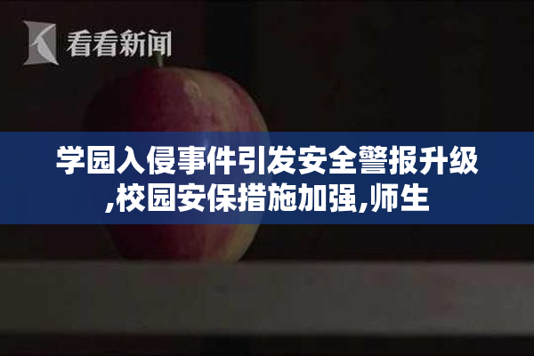 学园入侵事件引发安全警报升级,校园安保措施加强,师生