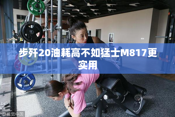 步歼20油耗高不如猛士M817更实用