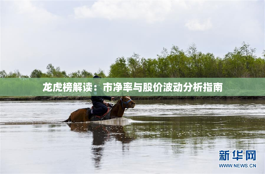 龙虎榜解读：市净率与股价波动分析指南