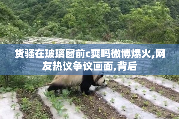 货骚在玻璃窗前c爽吗微博爆火,网友热议争议画面,背后