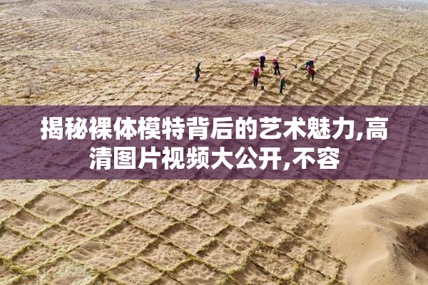 揭秘裸体模特背后的艺术魅力,高清图片视频大公开,不容
