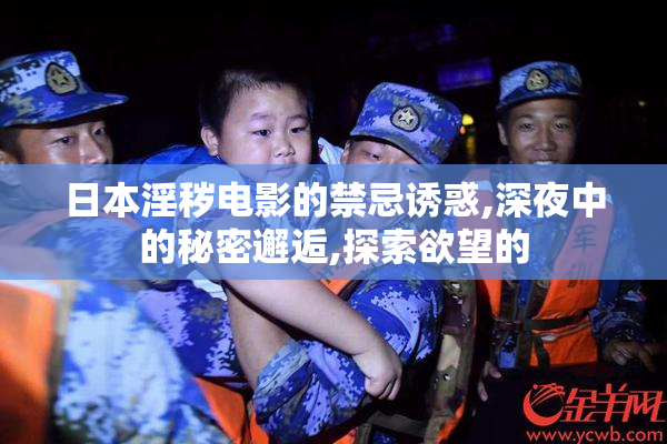 日本淫秽电影的禁忌诱惑,深夜中的秘密邂逅,探索欲望的