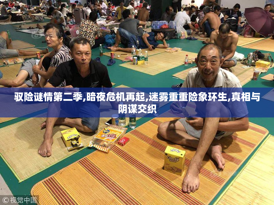 驭险谜情第二季,暗夜危机再起,迷雾重重险象环生,真相与阴谋交织