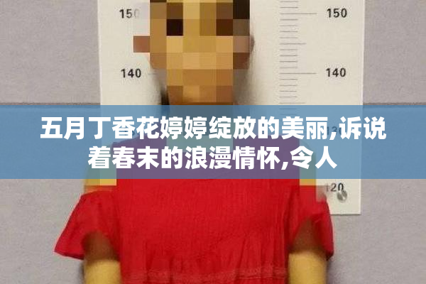 五月丁香花婷婷绽放的美丽,诉说着春末的浪漫情怀,令人