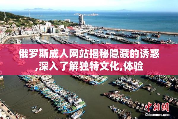俄罗斯成人网站揭秘隐藏的诱惑,深入了解独特文化,体验