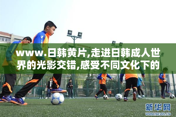 www.日韩黄片,走进日韩成人世界的光影交错,感受不同文化下的欲望