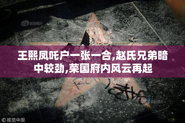 王熙凤吒户一张一合,赵氏兄弟暗中较劲,荣国府内风云再起
