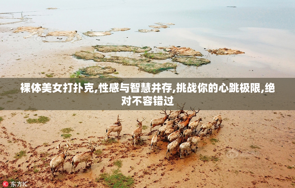 裸体美女打扑克,性感与智慧并存,挑战你的心跳极限,绝对不容错过