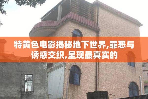 特黄色电影揭秘地下世界,罪恶与诱惑交织,呈现最真实的