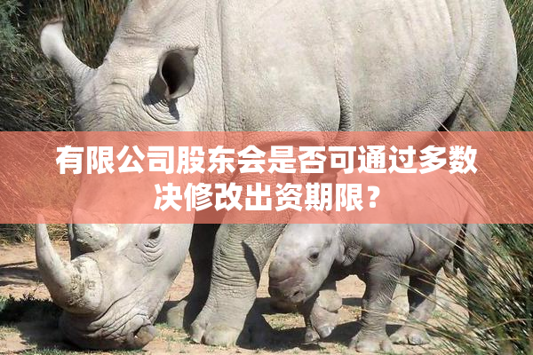 有限公司股东会是否可通过多数决修改出资期限？