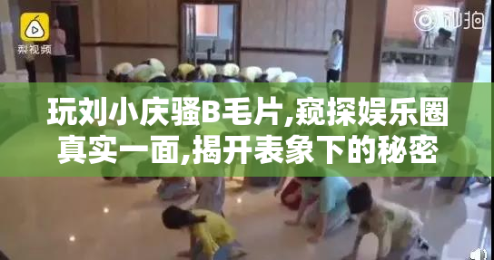 玩刘小庆骚B毛片,窥探娱乐圈真实一面,揭开表象下的秘密,震撼人心