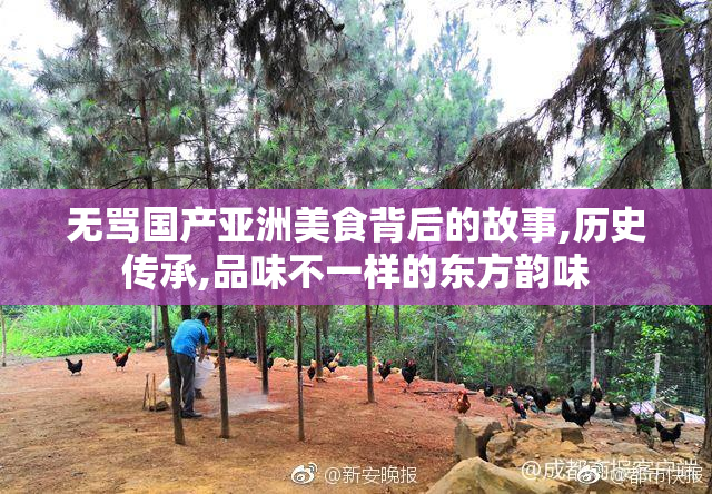无骂国产亚洲美食背后的故事,历史传承,品味不一样的东方韵味